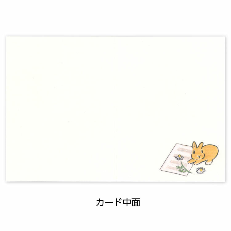 日本 插畫家 森山標子 兔子 迷你賀卡