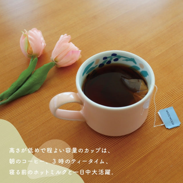 日本 etendue Dessin 水彩繪本 花園 馬克杯 270ml