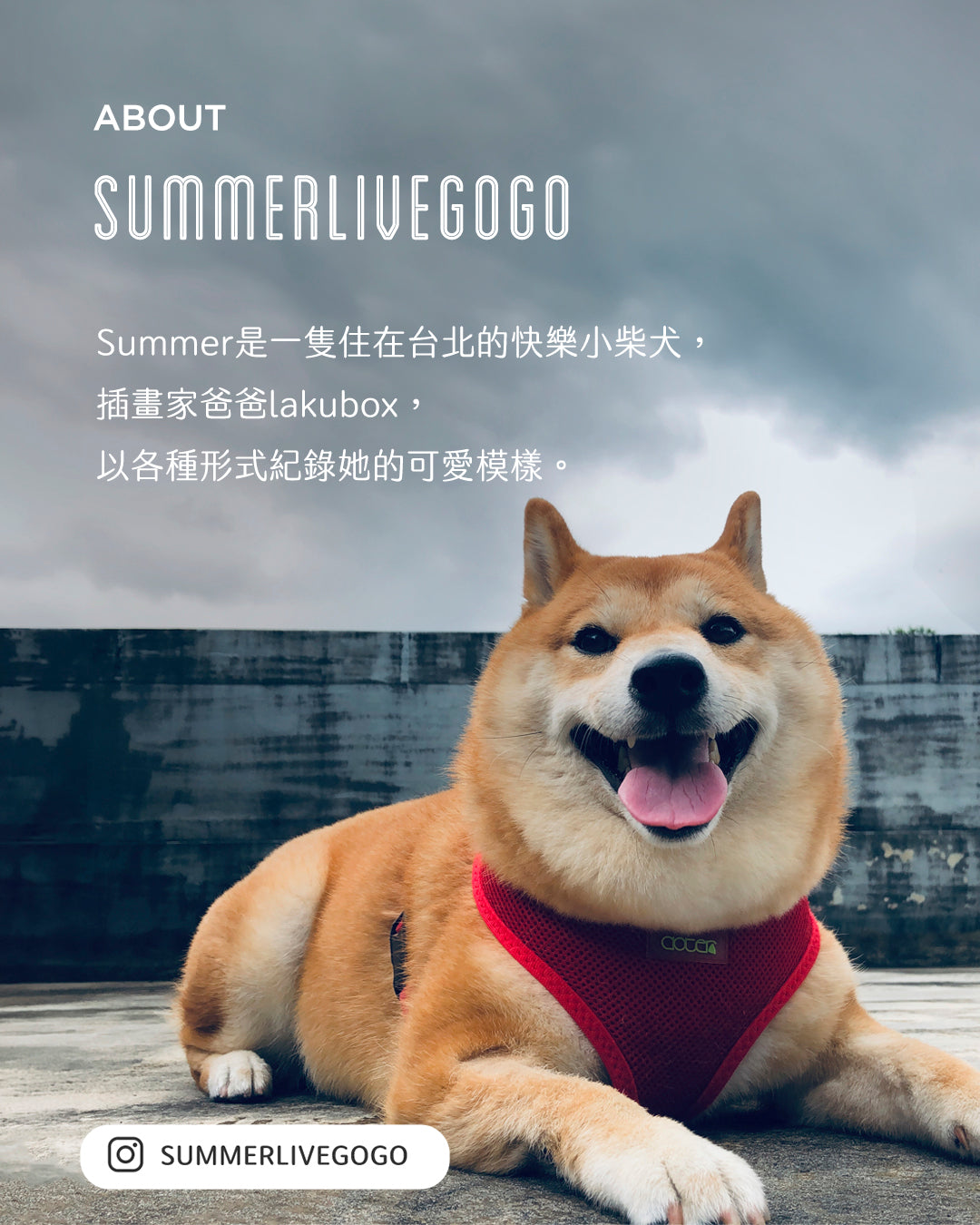 Lakubox｜summerlivegogo 柴犬 A3 海報(後現代紙) _小巷裡的月球洞穴
